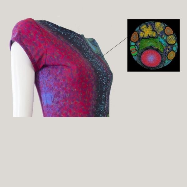 Here’s How AI is Changing Fashion