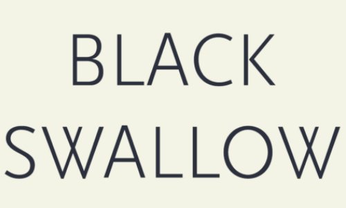 Reasons Why I Shop For Skincare And Cosmetics At Black Swallow?