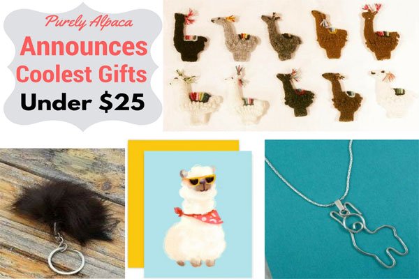 Purely Alpaca Announces Coolest Gifts under $25 