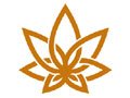 3Chi Discount Code