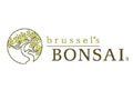 Brussel's Bonsai Discount