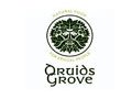 Druids Grove Coupon