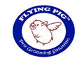 Flying Pig Grooming Discount