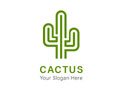 Its Cactus Promo Code