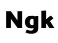 Ngk Discount