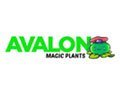 Avalon Magic Plants Coupon Code