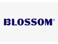 Blossom Beauty Coupon Code