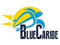 Blue Caribe Tours Promo Code
