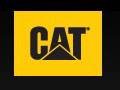 Cat Footwear Promo Codes