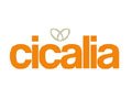 Cicalia Coupon Code