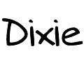 Dixie Fashion Discount Code