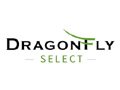 Dragonfly AsiaPacific Discount Code