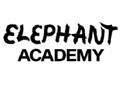 ElephantAcademy.art