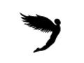 Fly Official Store Row Coupon Code