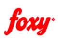 Foxy AI Coupon Code Foxy AI Coupon Code