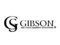 Gibson.aero-stoked Coupon Code
