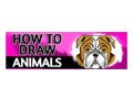 Howtodrawanimals Discount Code