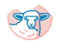 Kyrgies Discount Code