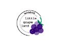 Little Grape Land Coupon Code