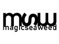 Magicseaweed Promotional Codes