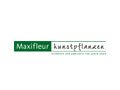 Maxifleur Kunstpflanzen Coupon Code