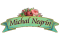 Michal Negrin Coupon Codes