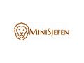 Minisjefen Discount Code