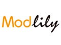 Modlily Coupon Codes