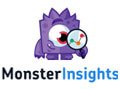 MonsterInsights Coupon Code