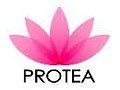 Protea Hair Coupon Code