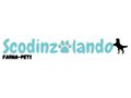Scodinzolando Discount Code