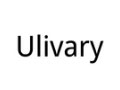 Ulivary Discount Code