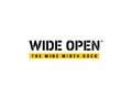 WideOpenSocks Discount Code