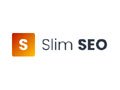 Wpslimseo Coupon Code